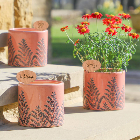 Set Of Three Personalised Botanical Ceramic Plant Pots