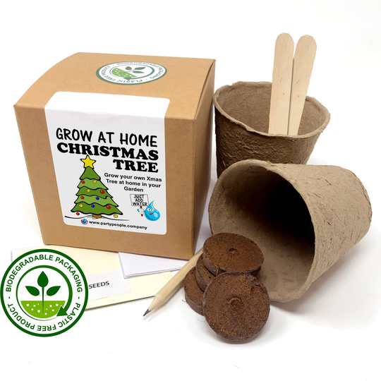 Grow Your Own Christmas Tree | Douglas Fir Kit At Home - Ideal Birthday Gift, Great Fathers Day Gift
