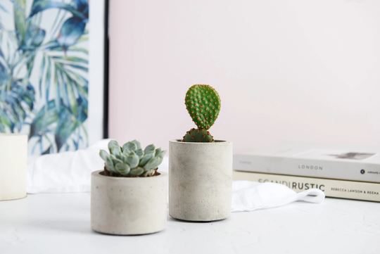 Concrete Plant Pot || Indoor Cactus Succulent Planter Gift
