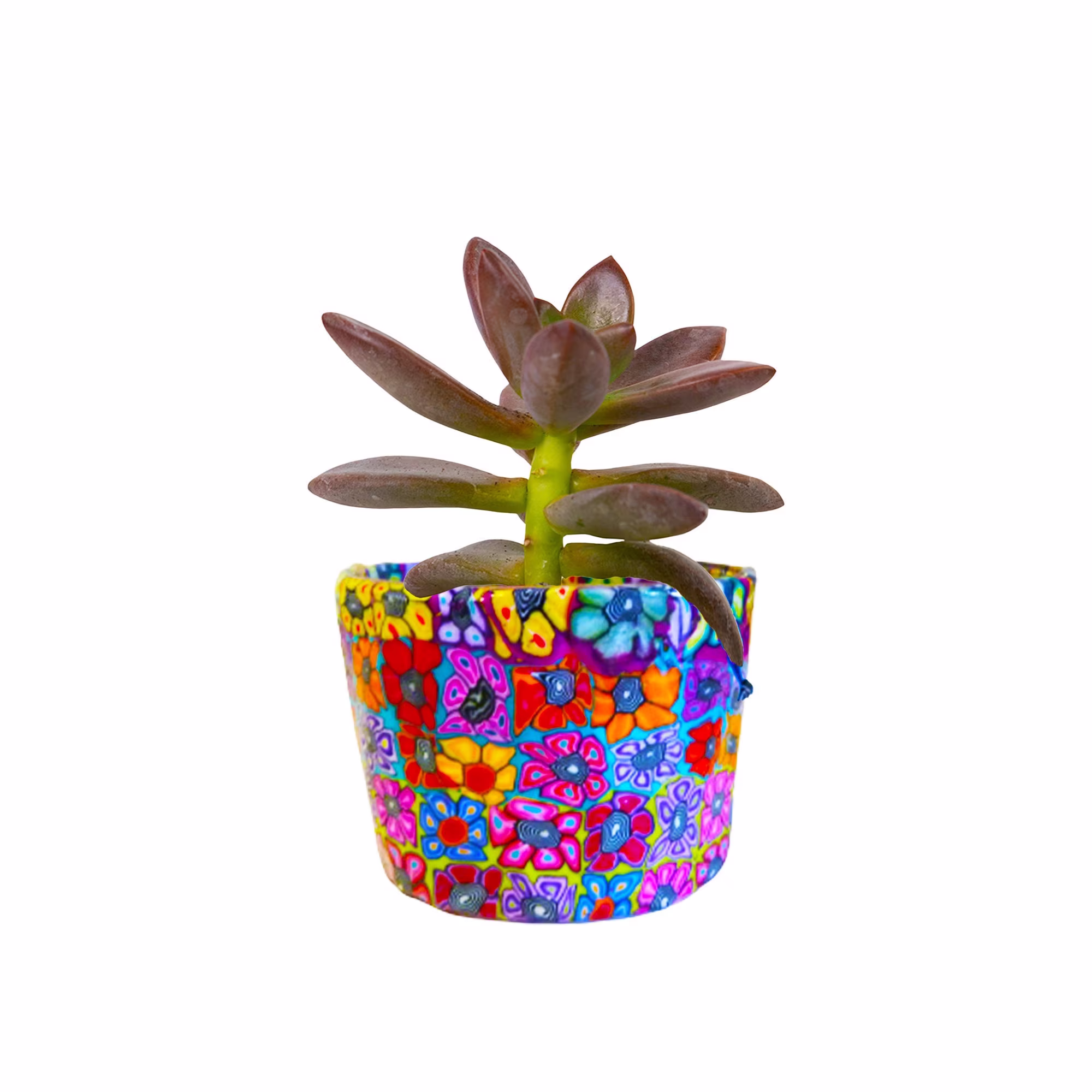 Colorful Indoor Small Planter Pot For Succulent, Bookshelf Decor