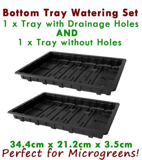 Microgreens Shallow Seed Tray Flats Set Sprouts Bottom Watering Sets 100% Recycled Plastic