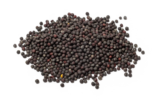 Broccoli Seeds Sulforaphane Rich - Organic, Calabrese