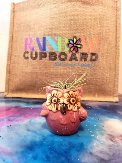 Owl Air Plant Holder .. Fall Decor Ceramic ..option With Send A Gift
