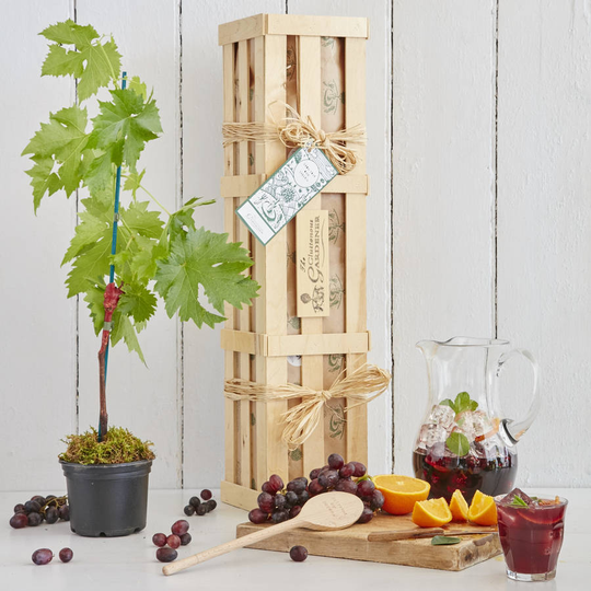 Grow Your Own Sangria Gift Crate
