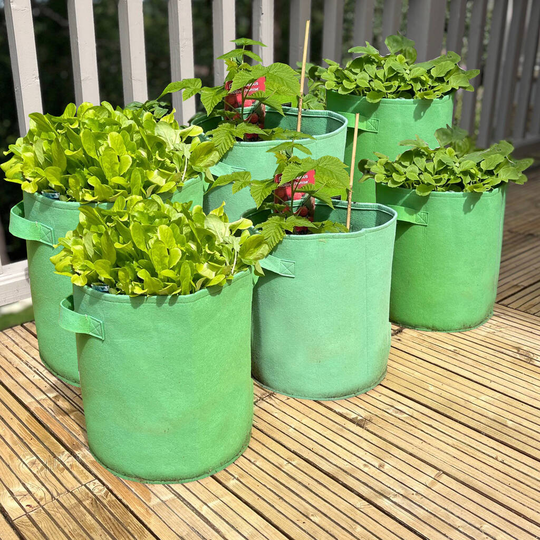 Reusable Potato And Vegetable Patio Grow Bag Set Of Six