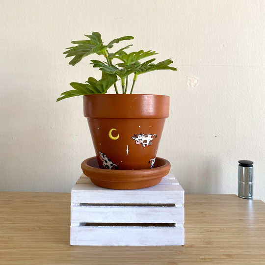 Cows Jump Over The Moon Terracotta Clay Pot - Hand Painted Planter With Drainage Hole & Tray