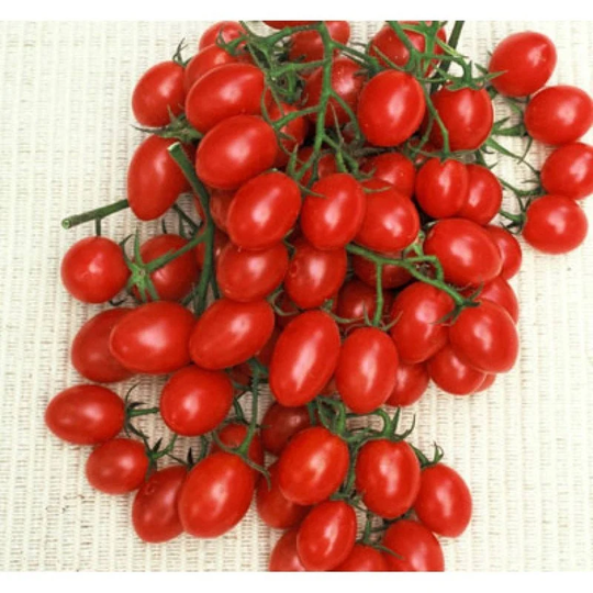 Tomato Rosalita Seeds Heirloom Non Gmo For Planting | 204585