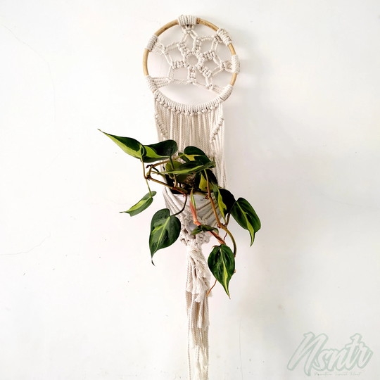 Macrame Hanging Plant Custom
