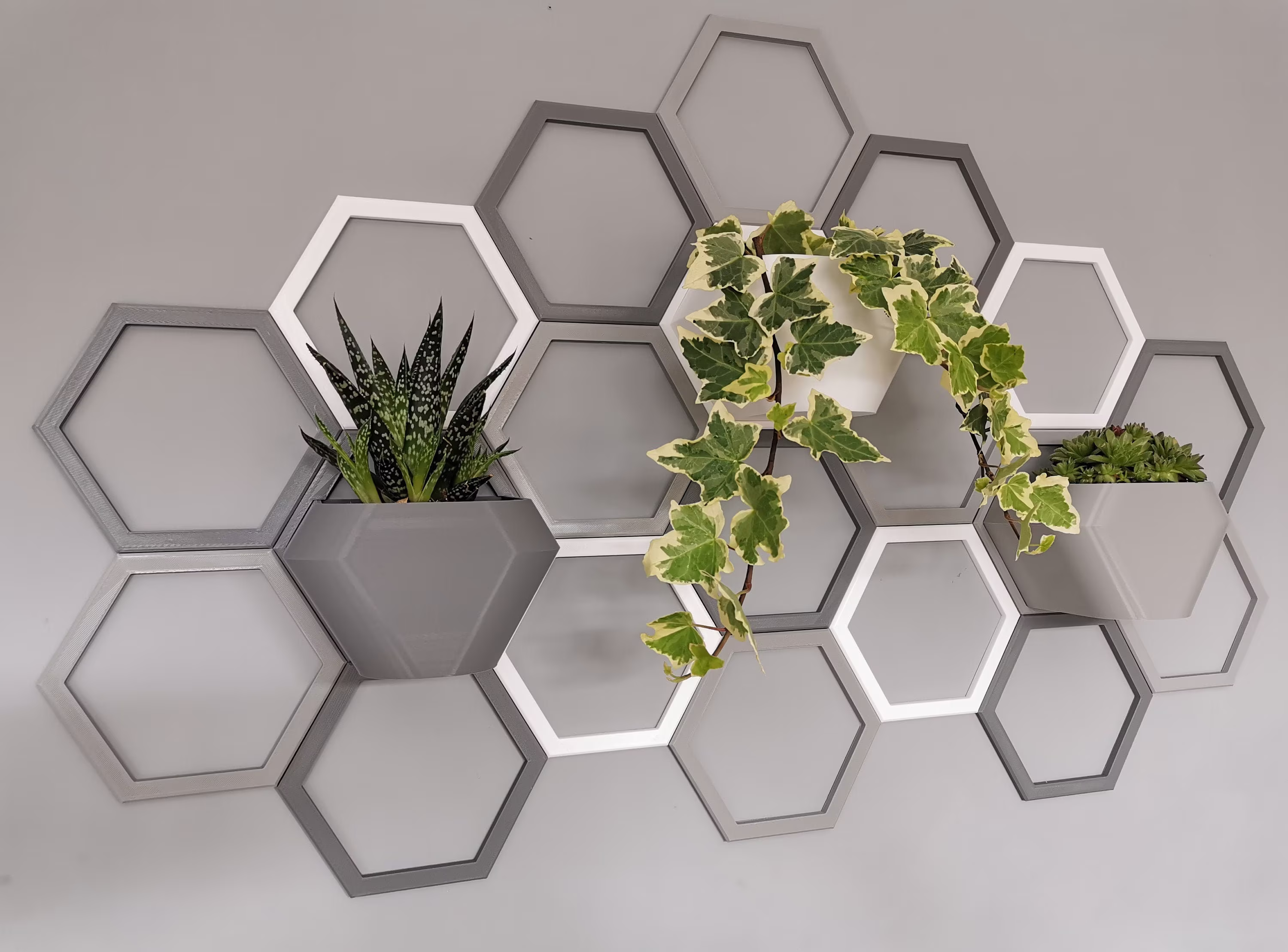 Indoor Wall Planter Honeycomb Design, Expandable Pot System, Plant Pot, Geometric, Vertical Garden, Hexagon Decor