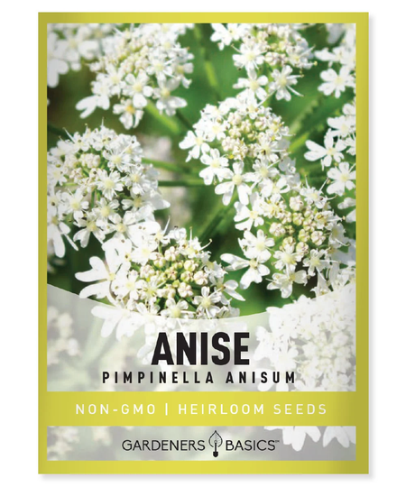 Anise Seeds For Planting - Heirloom, Non-Gmo Pimpinella Anisum Herb Variety Great Outdoor & Indoor Garden