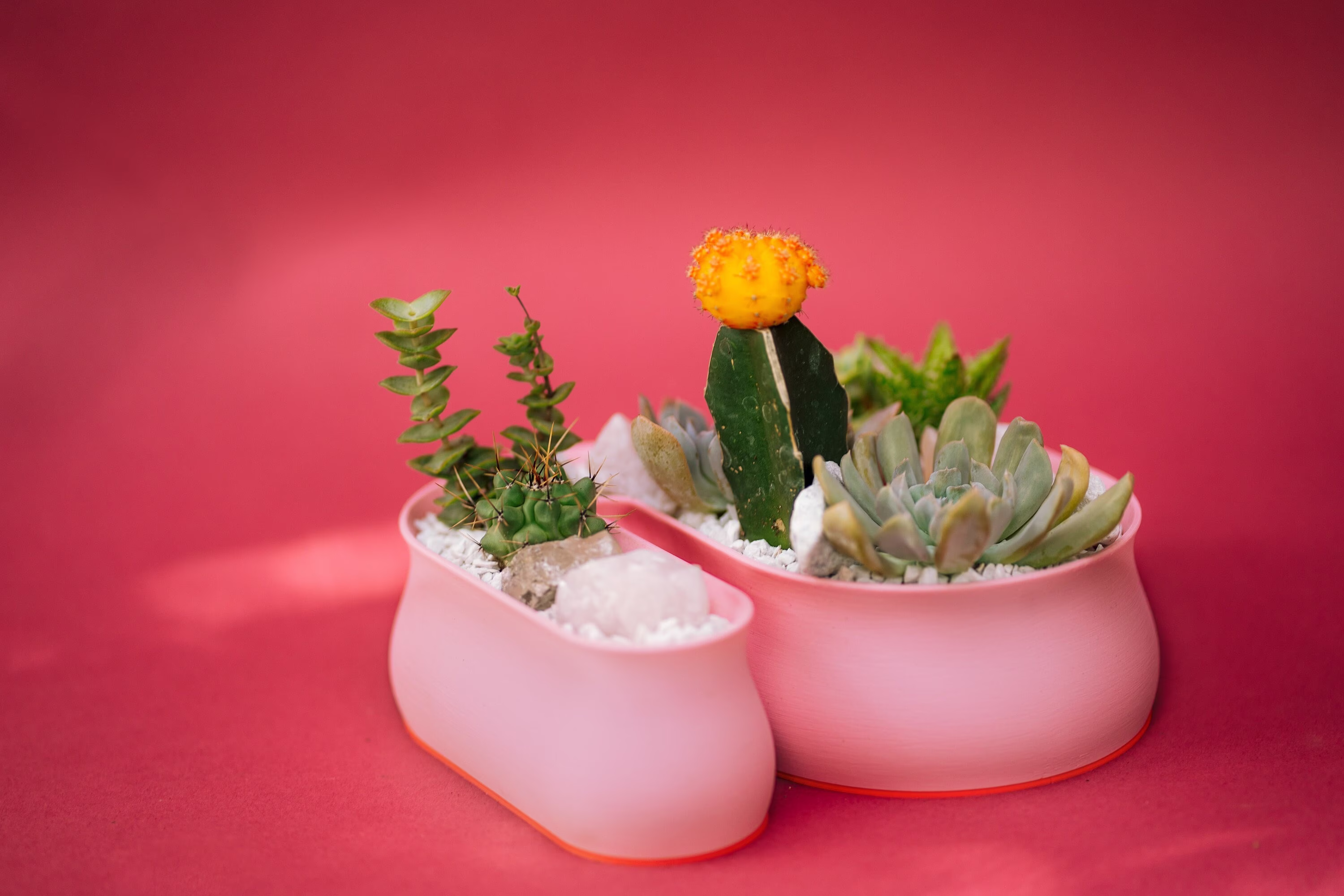 Squiggle Planter For Succulent Arrangement