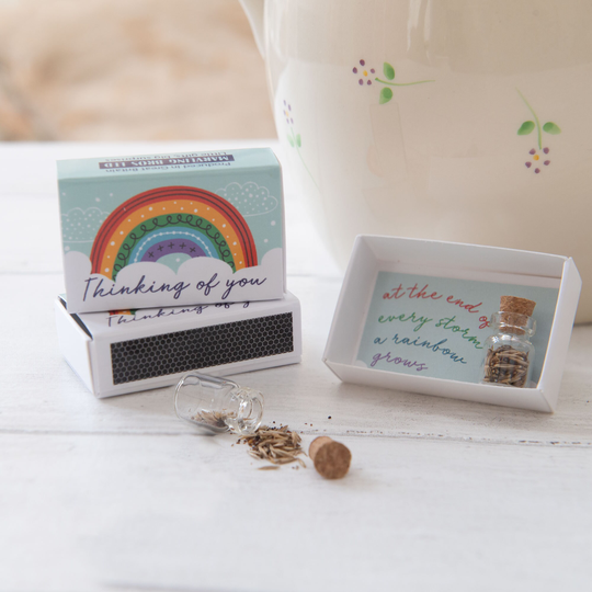 Thinking Of You Rainbow Wildflower Seeds in A Matchbox, Missing You, Uou Gift, Card, Gift