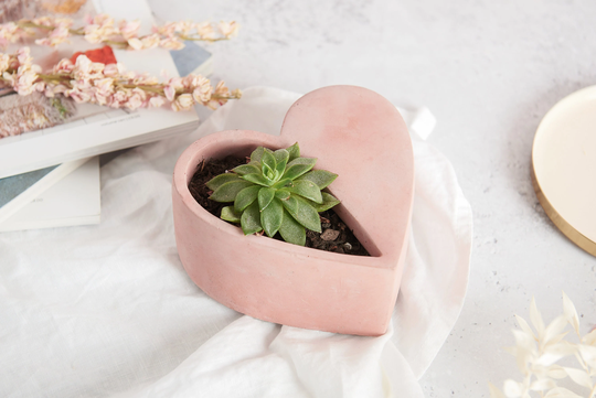 Concrete Heart Plant Pot, Solid Elegant Design Shaped Like A Heart With Plant Void. Available in Several Concrete Colours