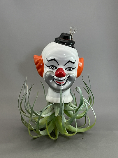 Penny Clown Head Planter