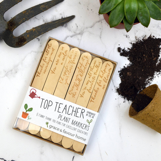 Personalised Best Teacher Plant Marker Gift Set