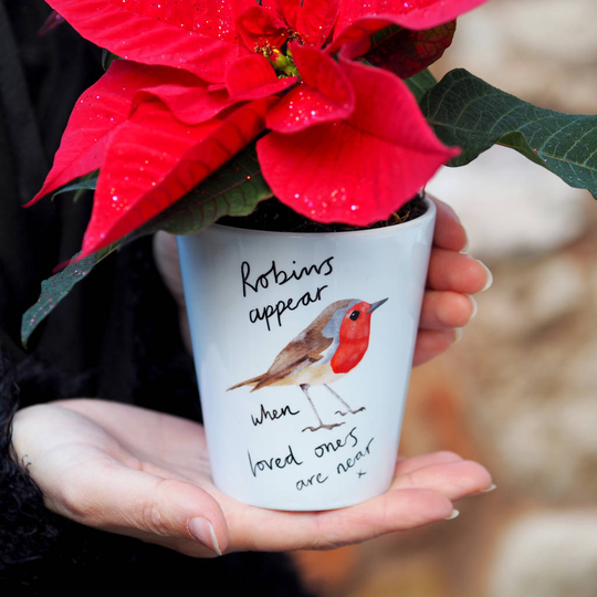 Robin Plant Pot Vase With Seeds