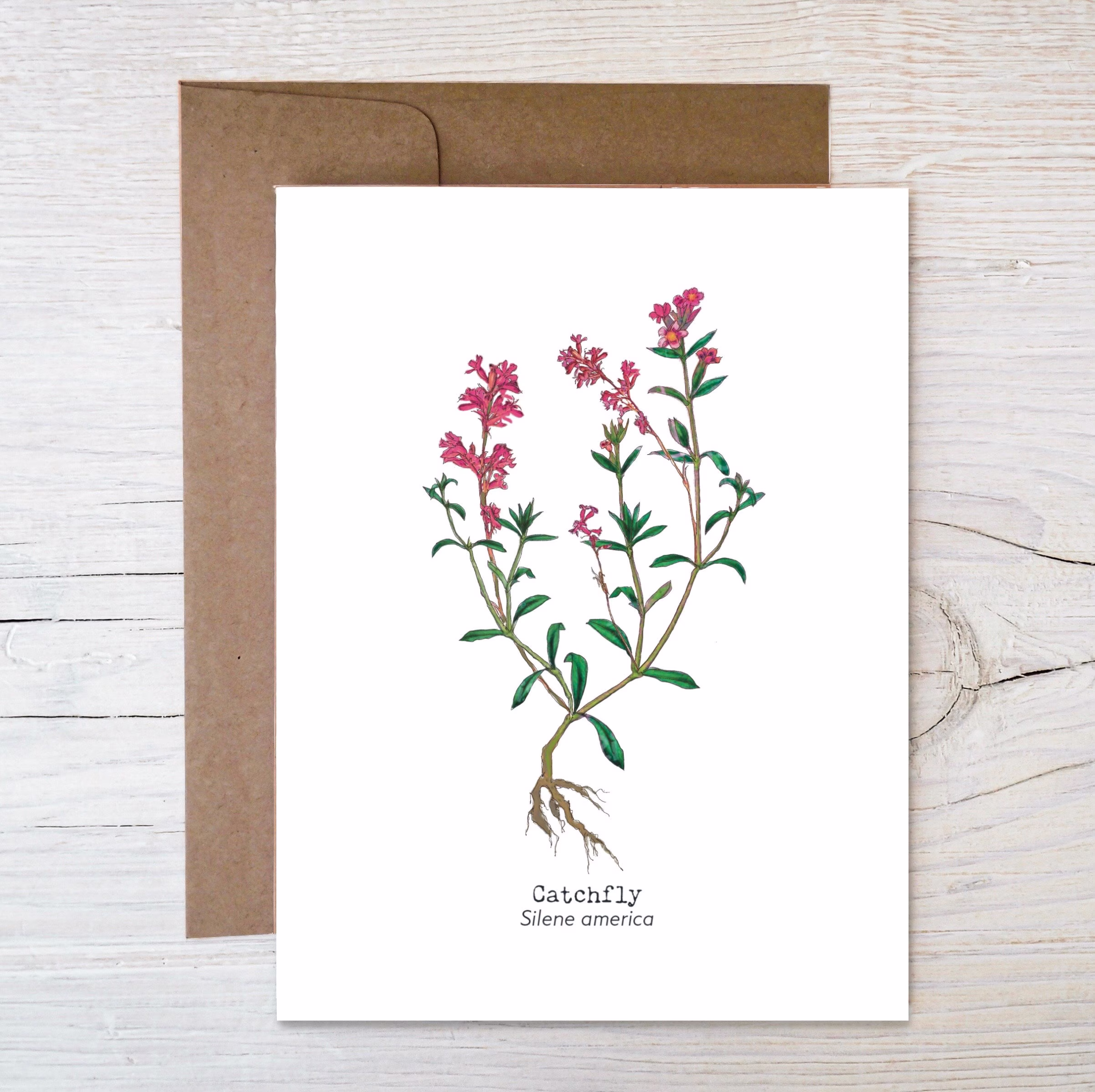 Plantable Wildflower Seed Card ~ Botanical Greeting Painting Of Catchfly Eco Friendly Blank