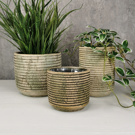 Rustic Concrete Planter, Natural, Green Indoor Plant Pot, Cylinder Small, Large, Tall