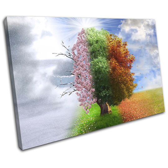 Four Seasons Tree Surrealism Fantasy Single Canvas Art Print Box Framed Picture Wall Hanging