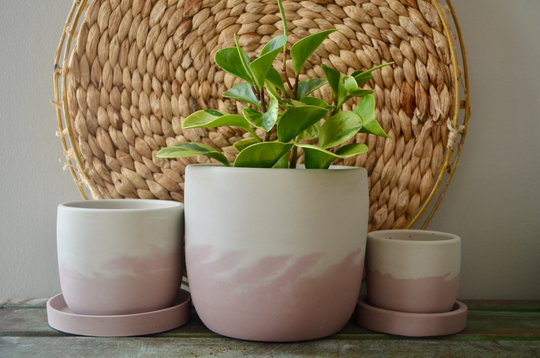 Pink Peony Concrete Planter, Neutral Pot, Medium Planter With Drainage, 4 Inch Pots For Plants, Small Plant