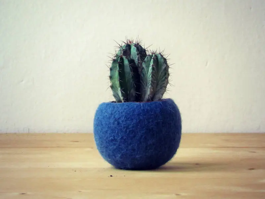 Succulent Planter/Air Plant Holder Cactus Pot Vase Modern Decor Housewarming Gift For Christmas