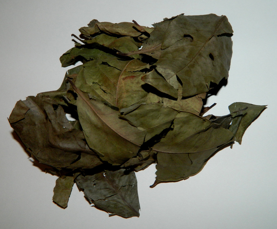 Indonesian Bay Leaves - 1/2 Oz