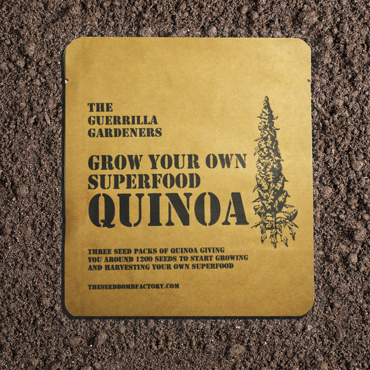 Grow Your Own Quinoa Kit
