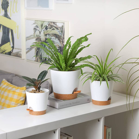 Set Of Three White Self Watering Plants Pots