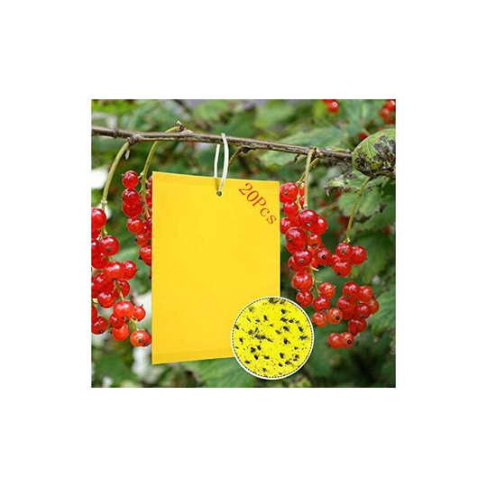 Litzee - 20 Pieces Profession Double Sided Sticky Traps, Anti White Fly Insect Traps, Aphids, Moths for Garden Plant Flower Fruits, with Cable