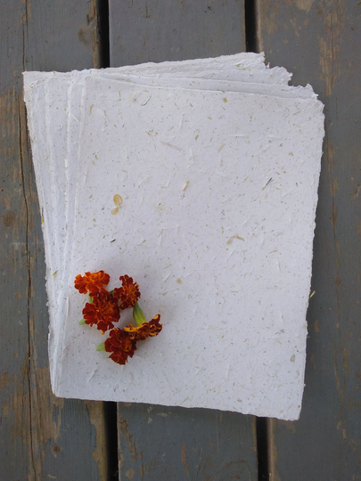 Marigold Seed Paper, French Double Dwarf Marigold Seeds, Lemon Gem Seed Paper, Gems