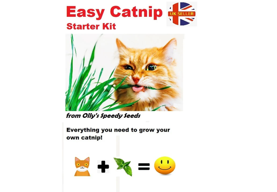 Grow Your Own Catnip Kit - Windowsill Or Outdoor | Catmint Happy Cats Same Day Dispatch