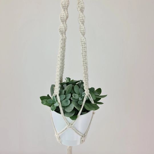Dna Weave Pattern Plant Hanger | Cotton Wooden Ring Hanging Decoration Natural Handmade Boho Flower