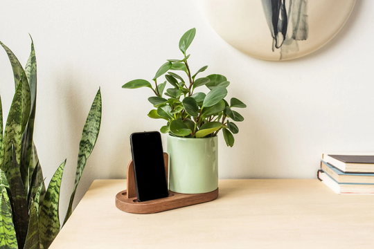 Stak Ceramics Flora Planter Phone Stand Gloss Sage & Walnut Base