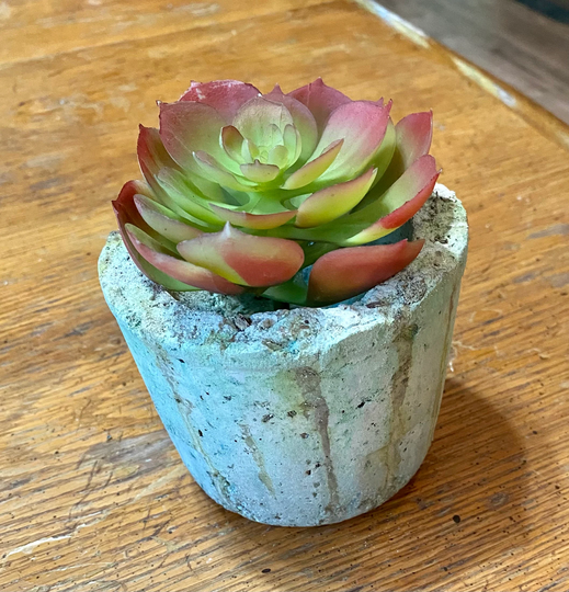 Hypertufa 3 1/2