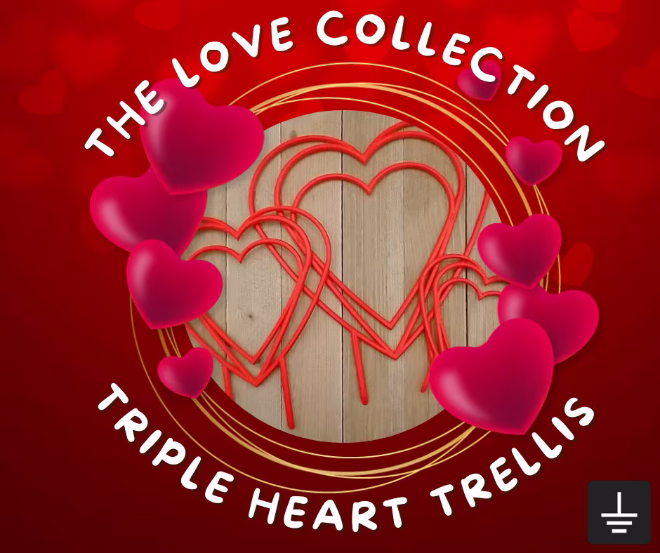 Triple Heart Plant Trellis | For Hoya/Pothos Rare Plants Indoor Plants Gift For Valentines Day
