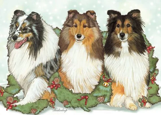 Sheltie Shetland Sheepdog Christmas Cards Set Of 10 & Envelopes