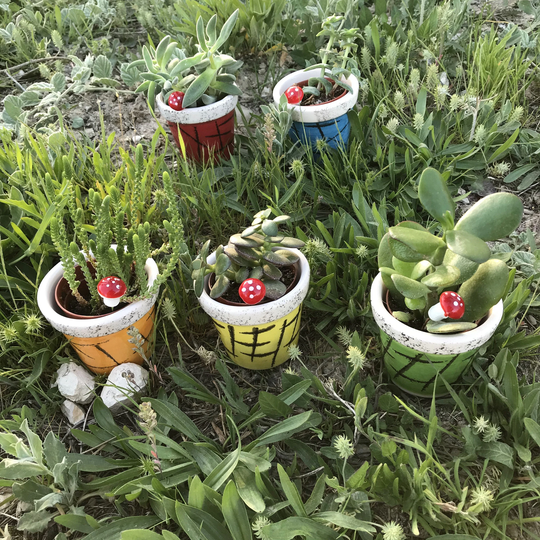 5x Hand Painted Plant Pots, Ceramic Succulent Striped Planter, Handmade Pottery Indoor Pot, Cactus Dish, Outdoor Flowerpot, Garden Gift