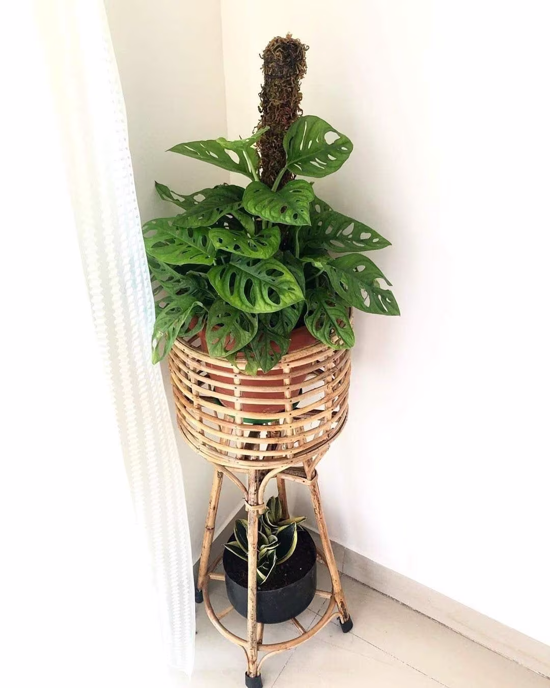 Handmade Cane Rattan Wicker Plant Stand Vases Planters For Indoor Plants Flower Patio Living Room Balcony