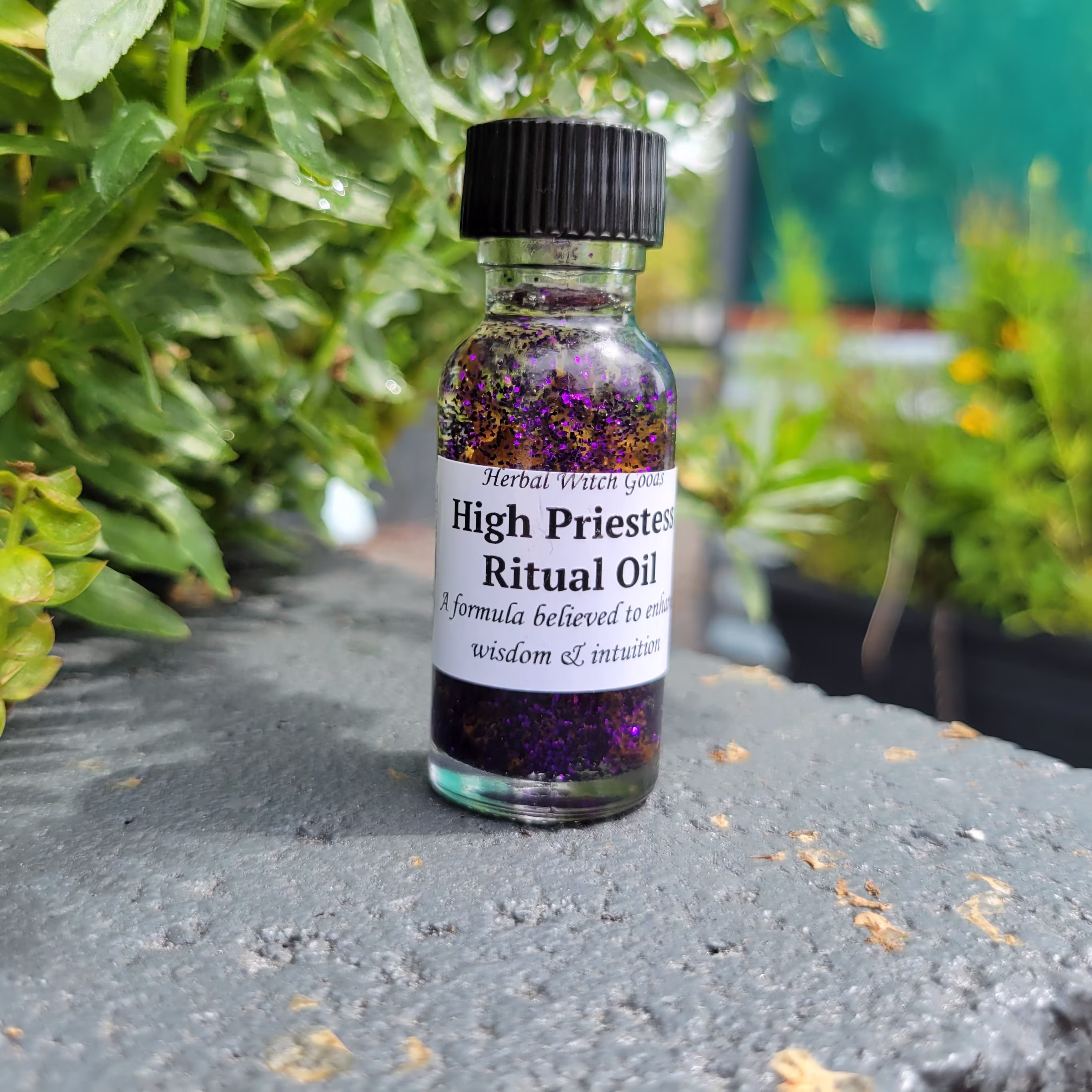 High Priestess Balance, Wisdom, Divine Feminine, & Intuition
