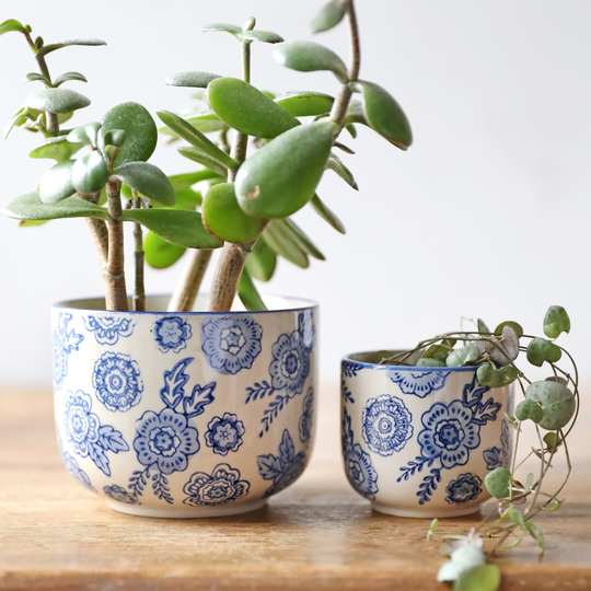 Sass & Belle Blue Willow Planter Small Large Vintage Inspired Indoor Plants Hand-Painted