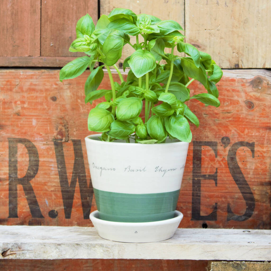Ceramic Herb Planter
