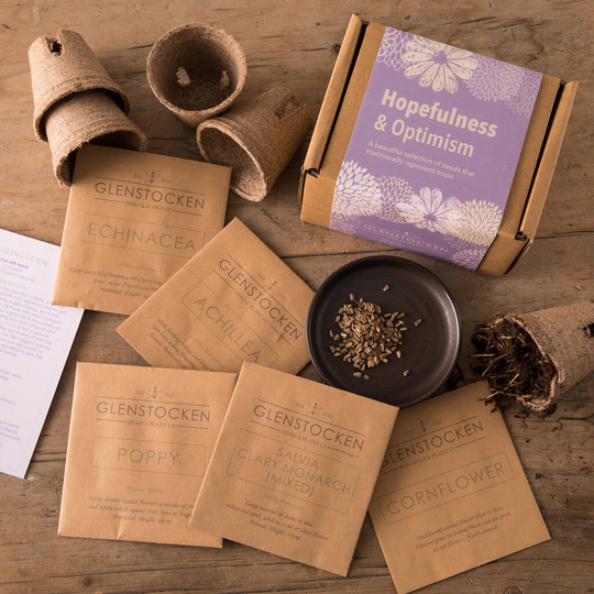 Reflective Moods Seed Collection Hopefulness