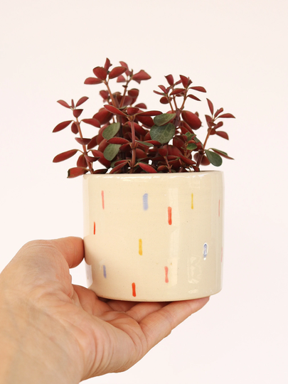 3 Inch Ceramic Planter | Colourful Cactus Plant Pot Succulent