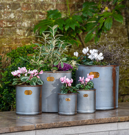 Hibiscus Set Of Five Vintage Planters