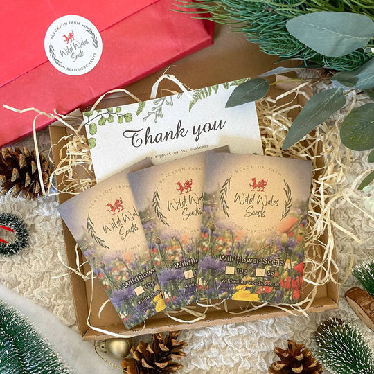 'Welsh Cottage' Wildflower Seed Christmas Gift Box