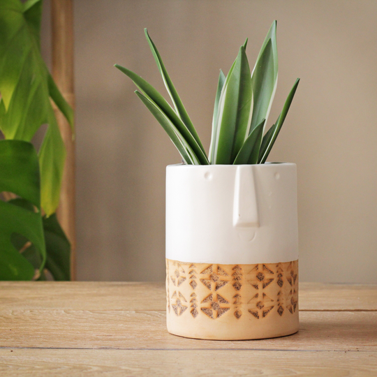 White Terracotta Face Planter