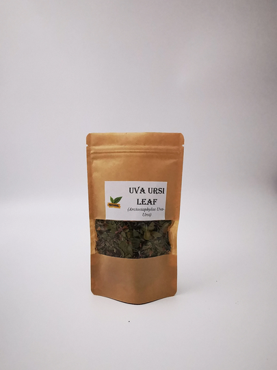 Uva Ursi Leaf | Organic Tea Bearberry
