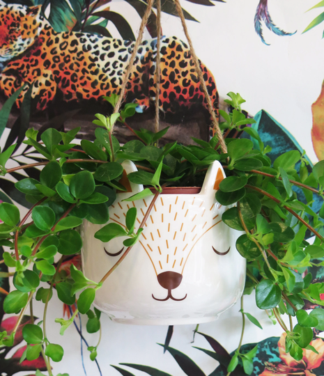 Sleepy Fox Indoor Or Outdoor Hanging Planter Flower Pot - Home Decor
