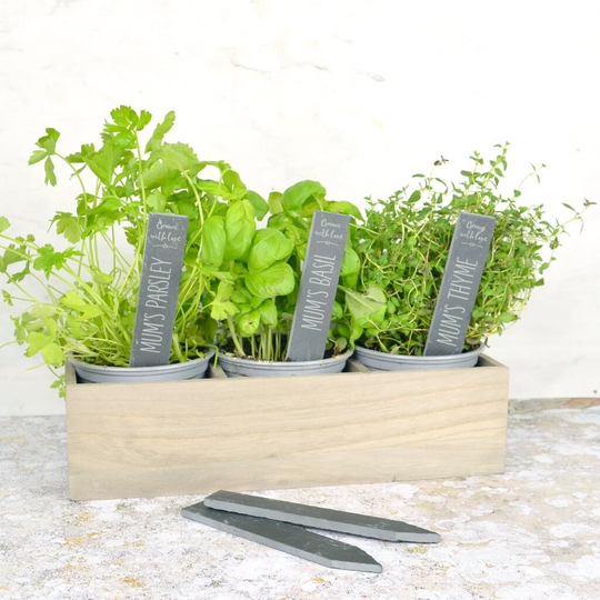 Herb Markers, Personalised Engraved Slate Herb Plant Markers