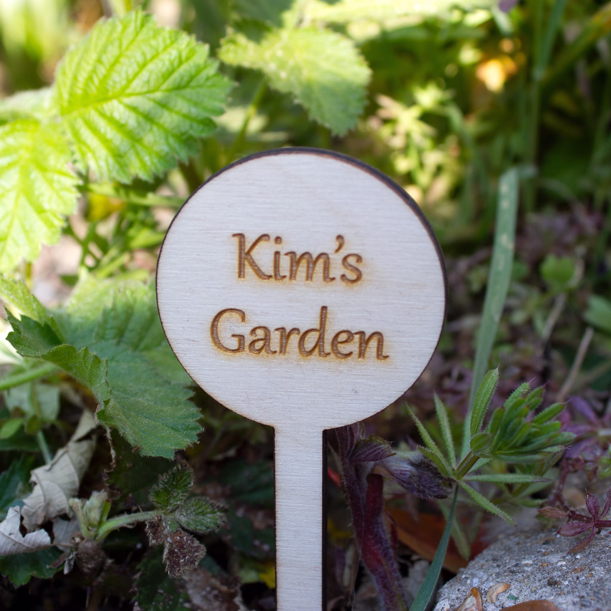 Personalised Mini Garden Sign, Custom Wooden Plant Signs, Vegetable Patch Marker, Allotment Gardener Gift, Green Fingers Present